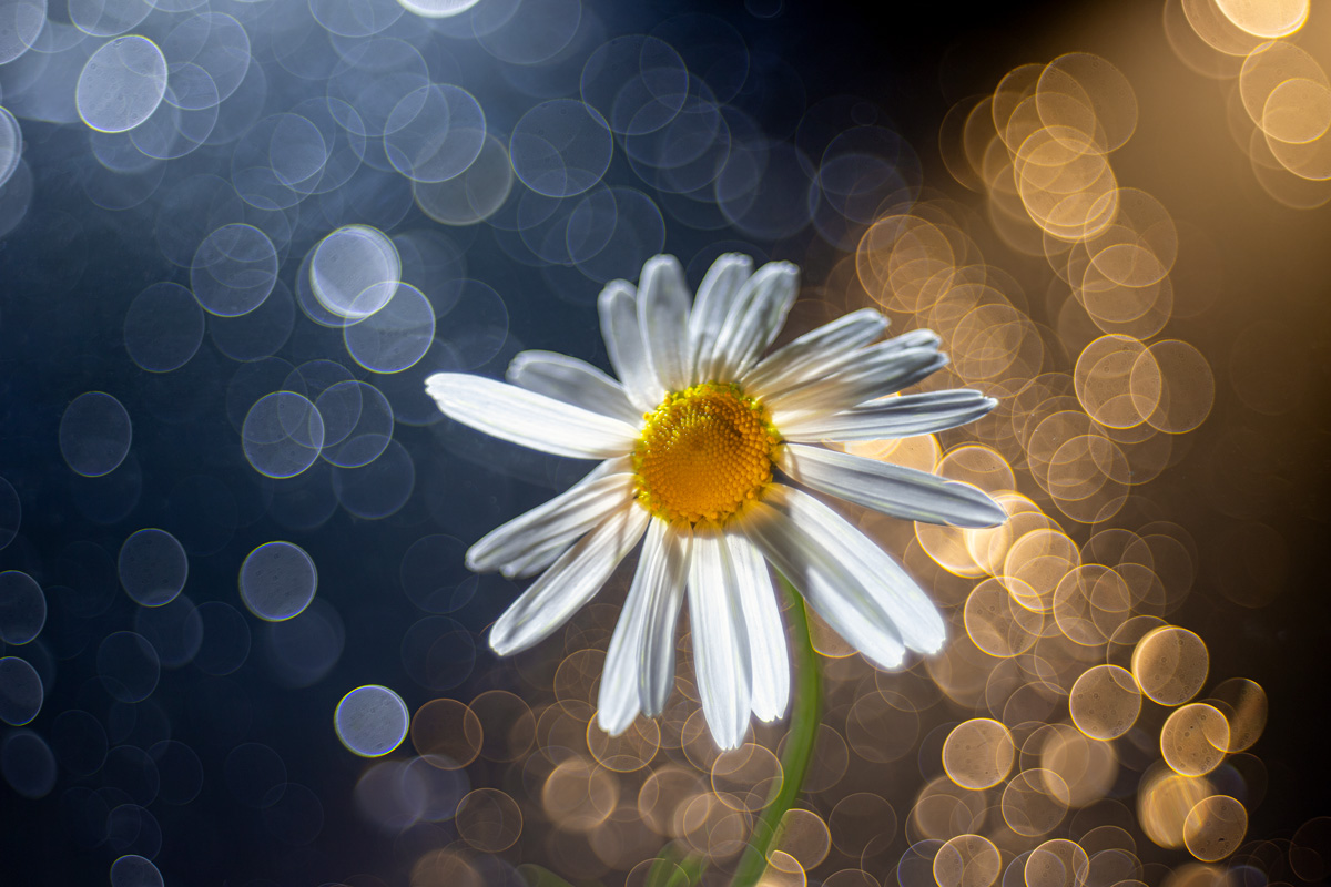 Ночь.. день...