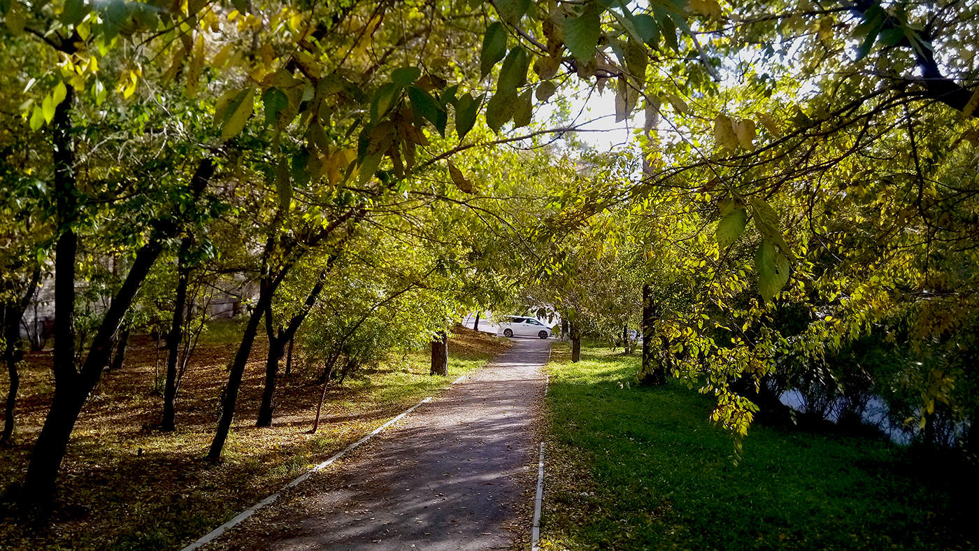 Как будто лето!..