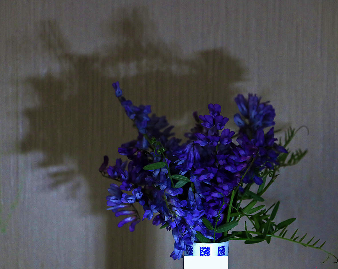 Букетик и его тень