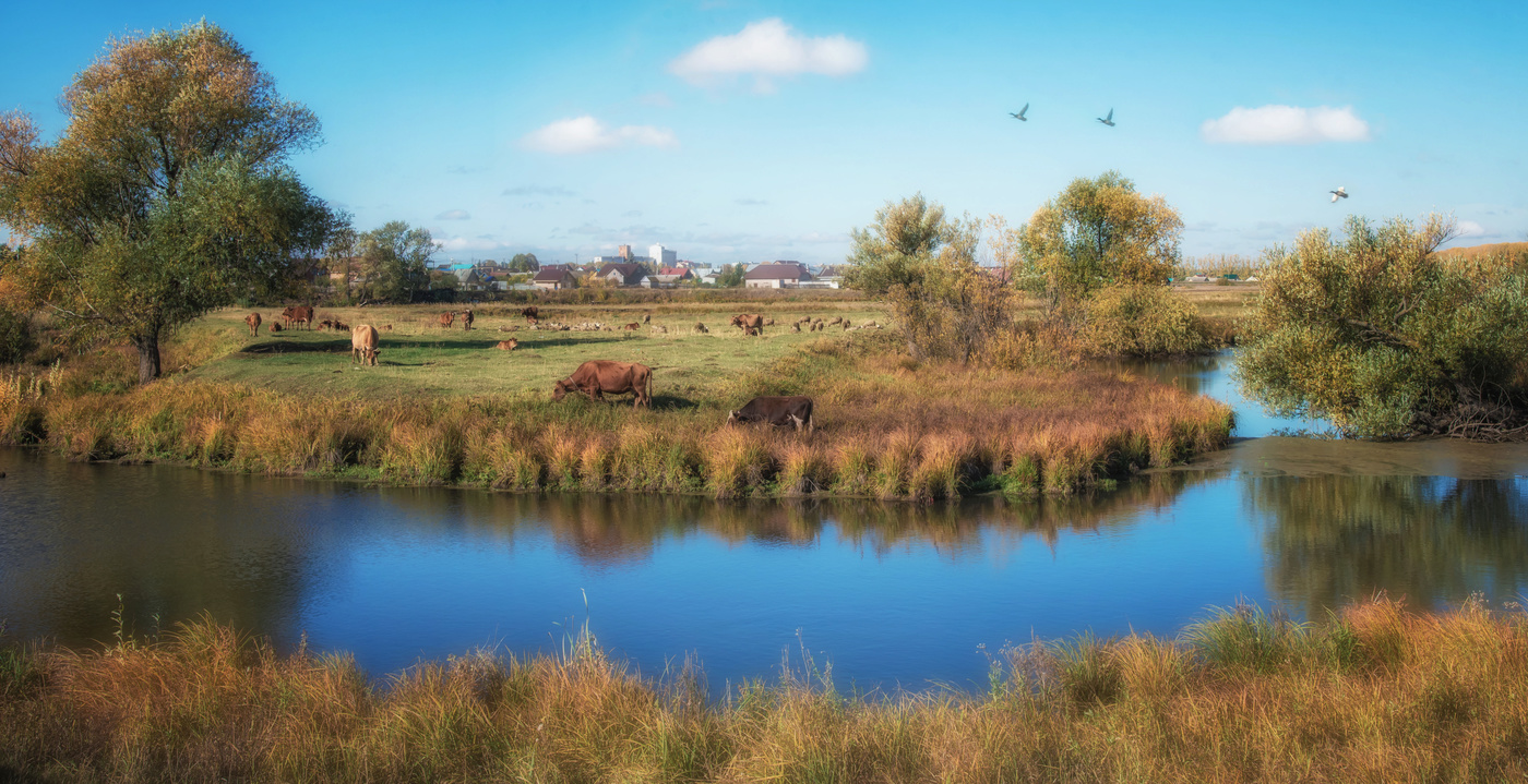 Осень на улице Луговой