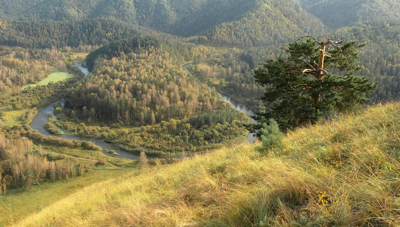 Есауловская петля.