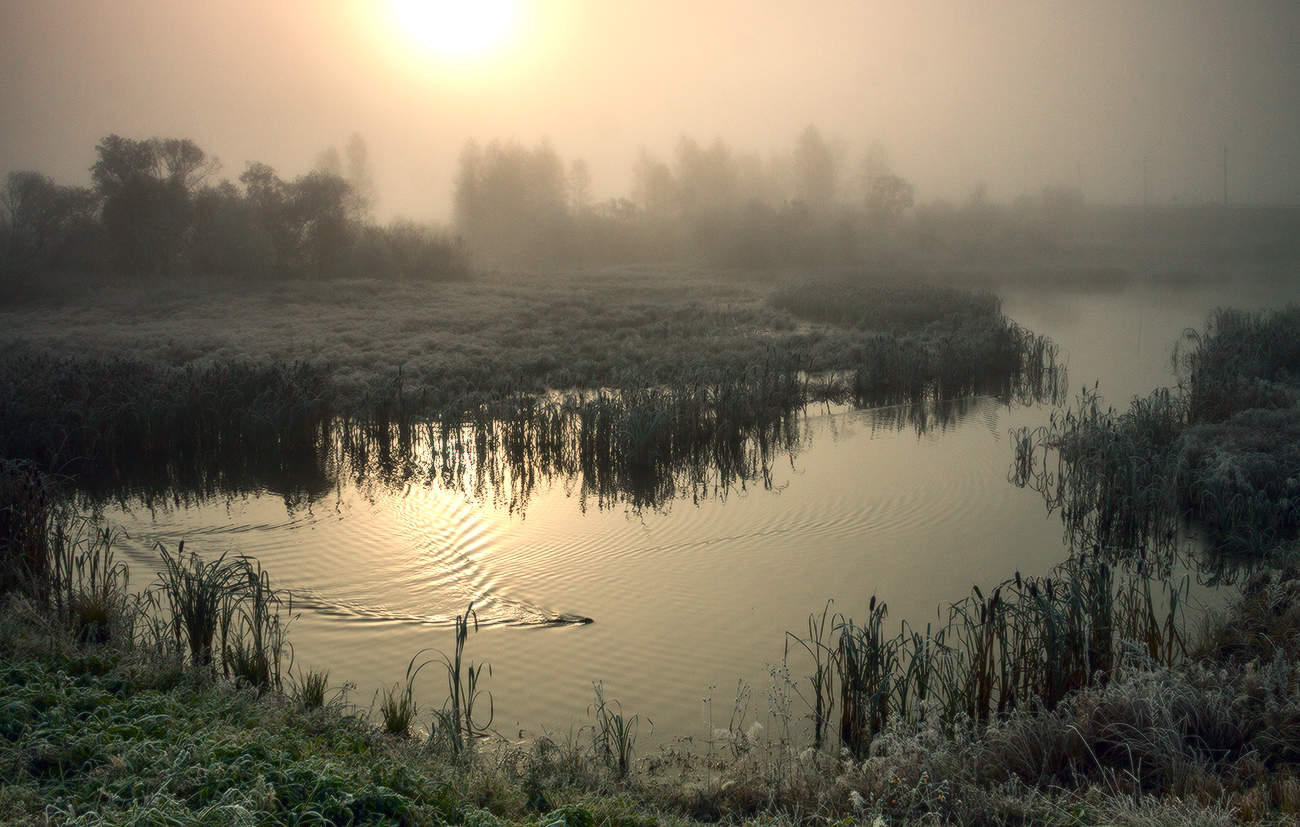 С добрым утром!