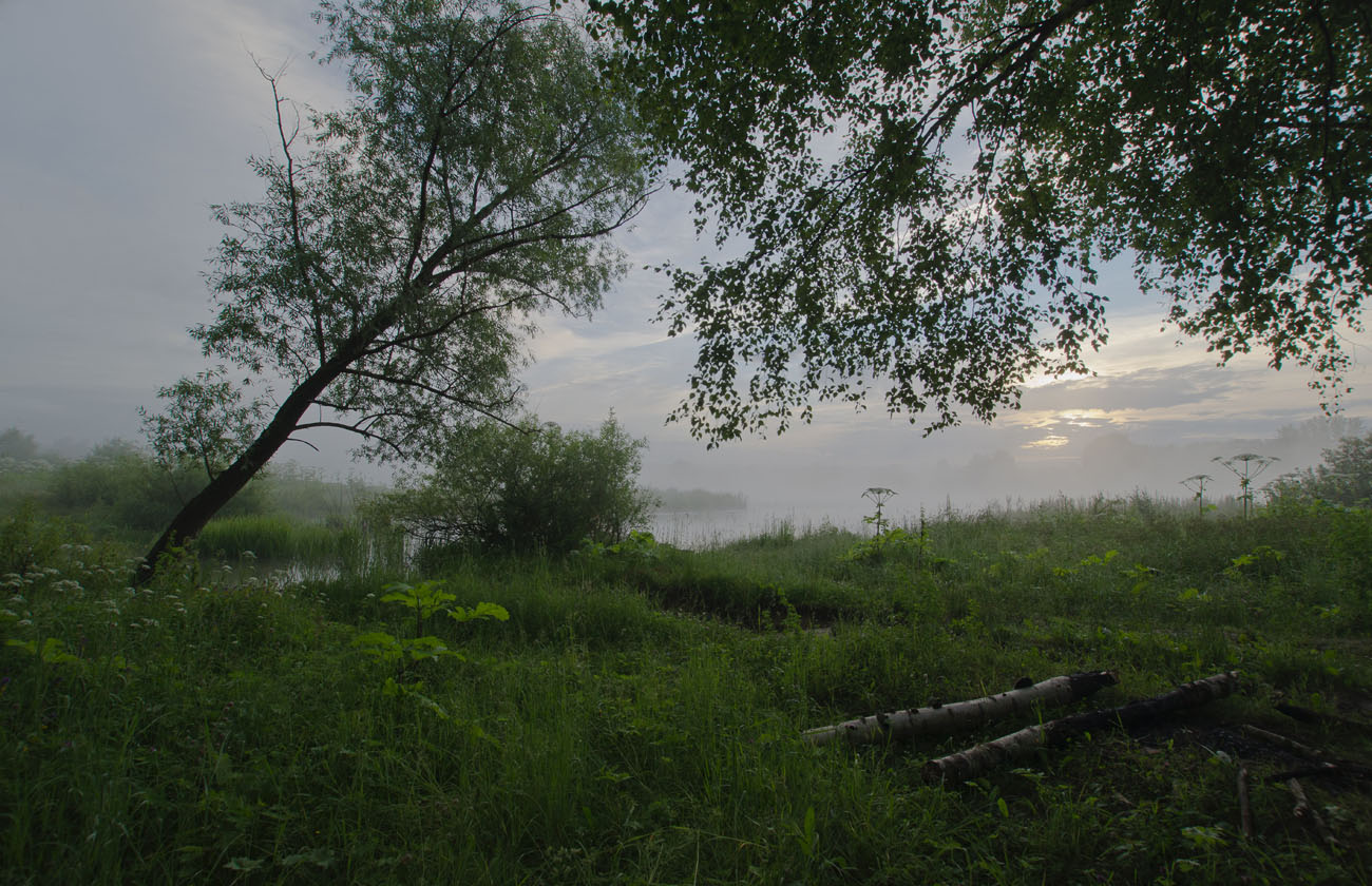 Предрассветный берег