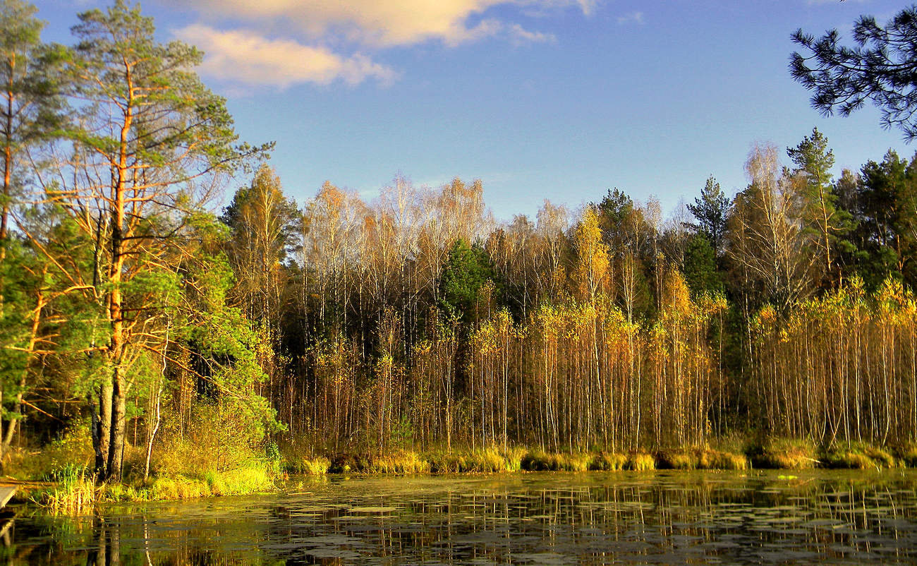 Солнечный осенний день