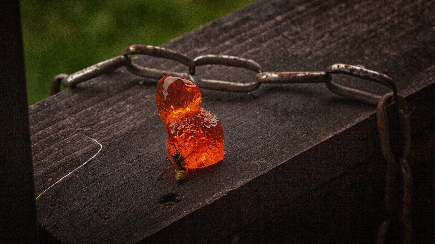 Жизнь вокруг