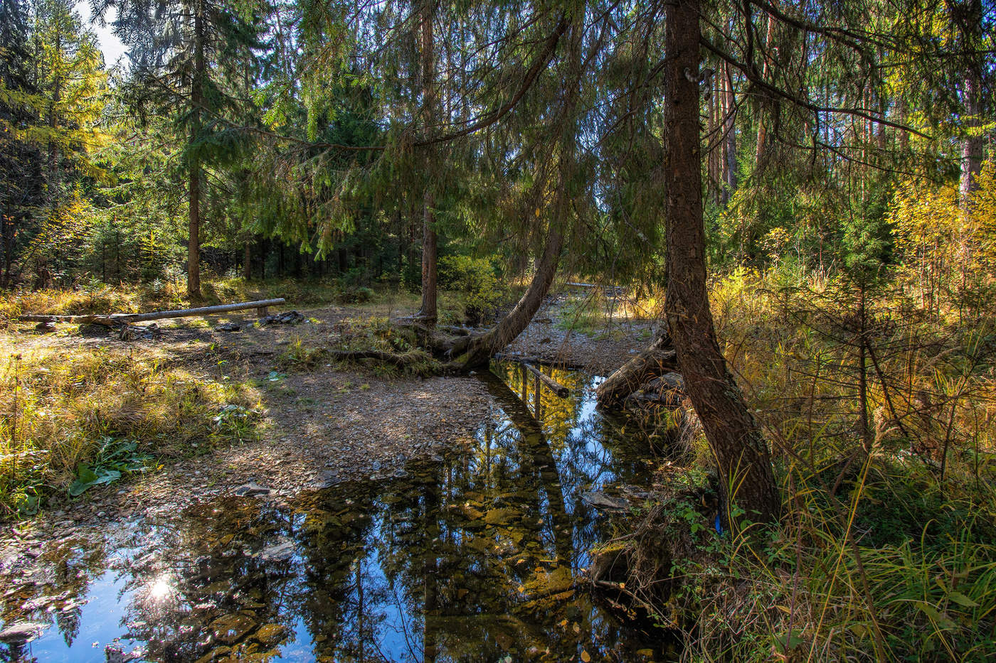 Осенний этюд