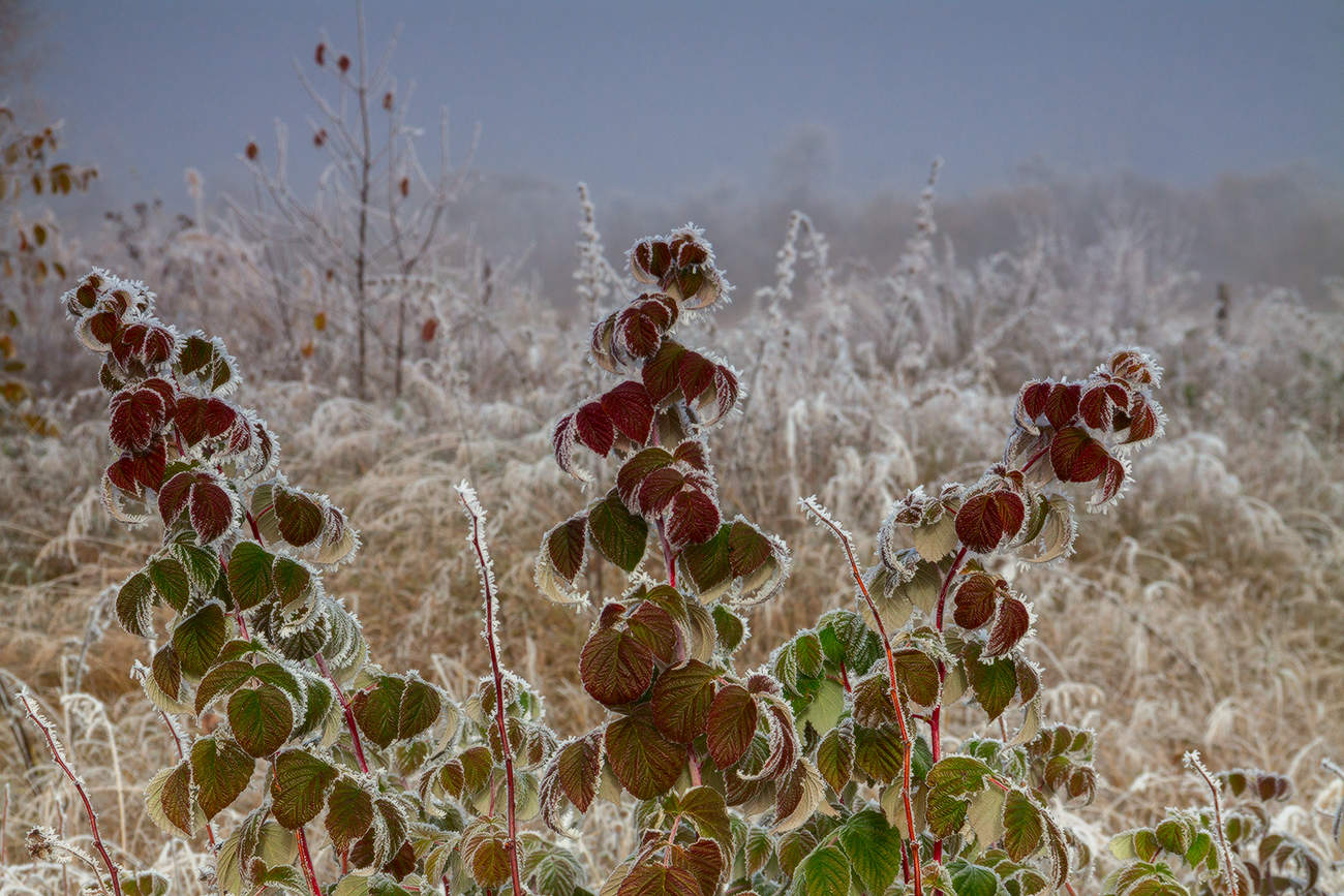 Палитра сентября