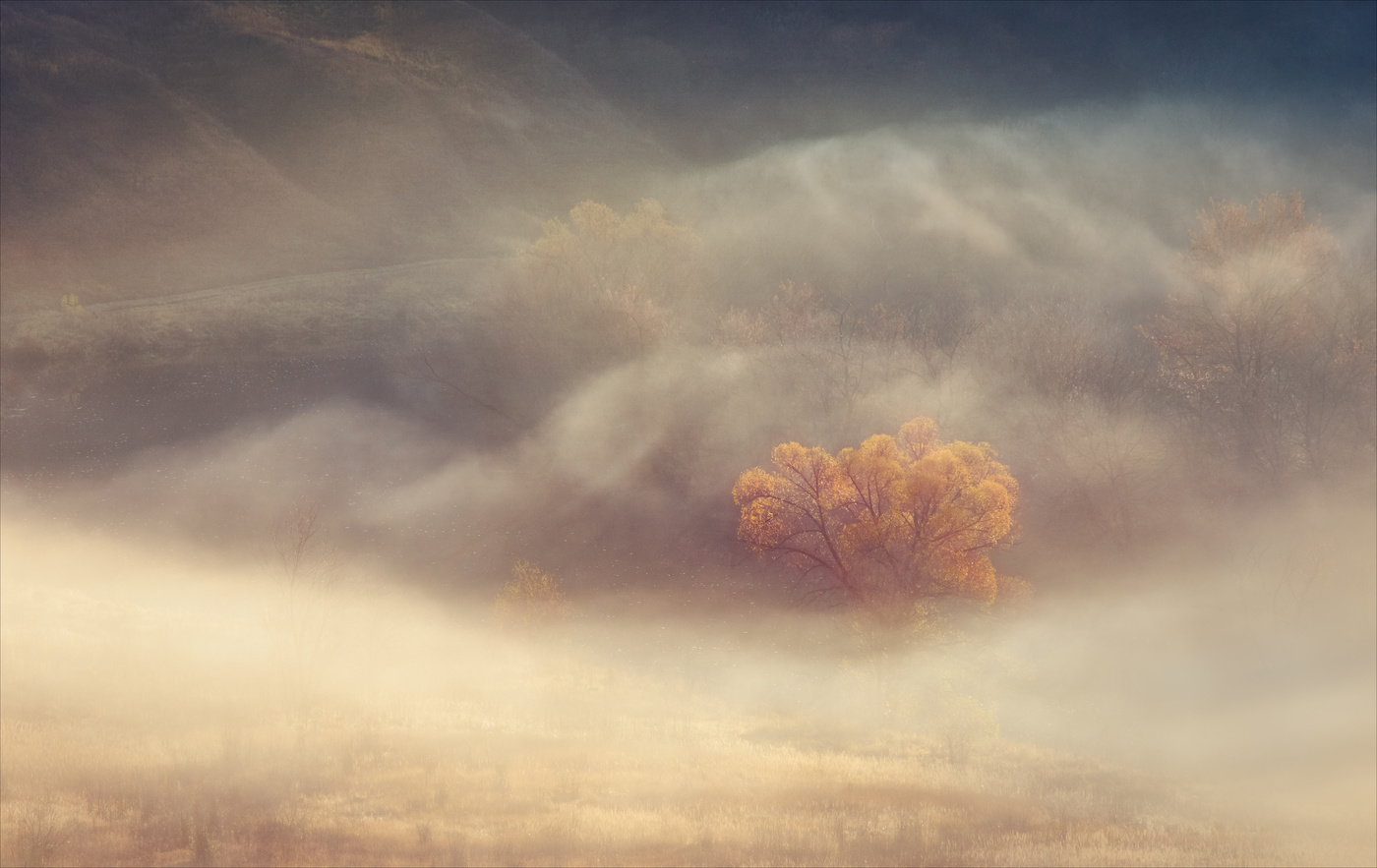 Осенний сон.