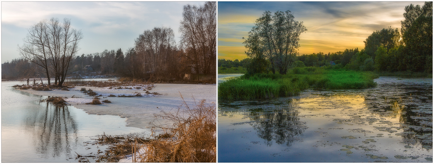 Зимой и летом - разным цветом