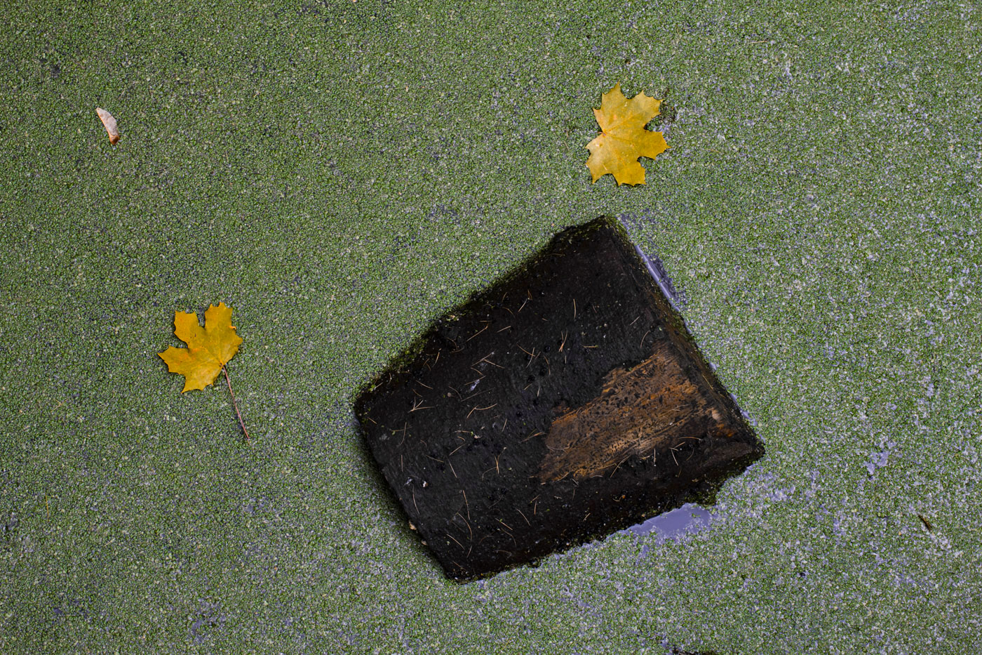 Состояние-3