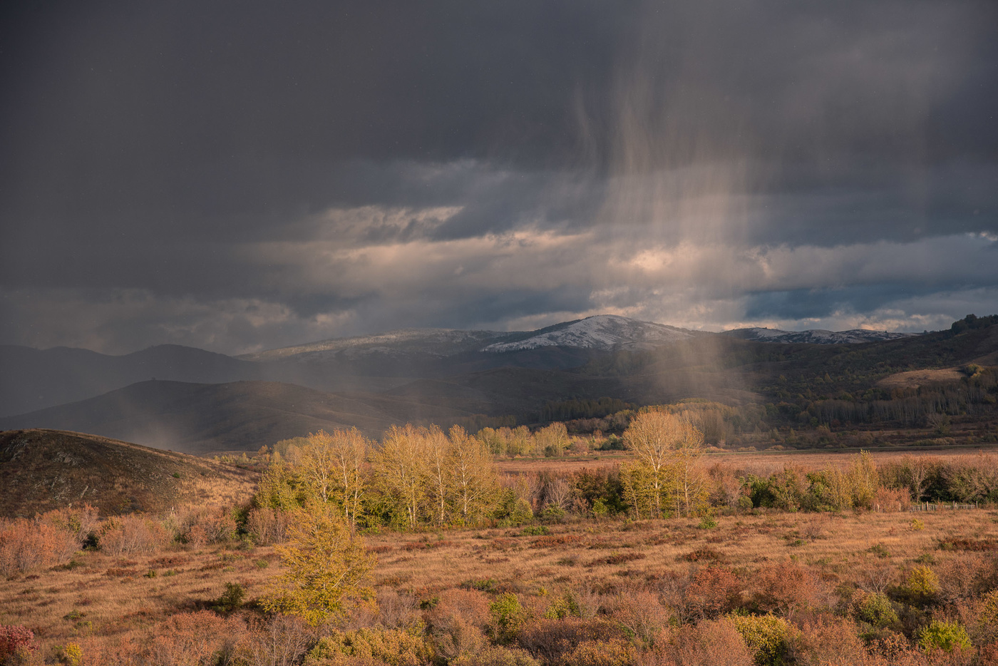 Первый снег