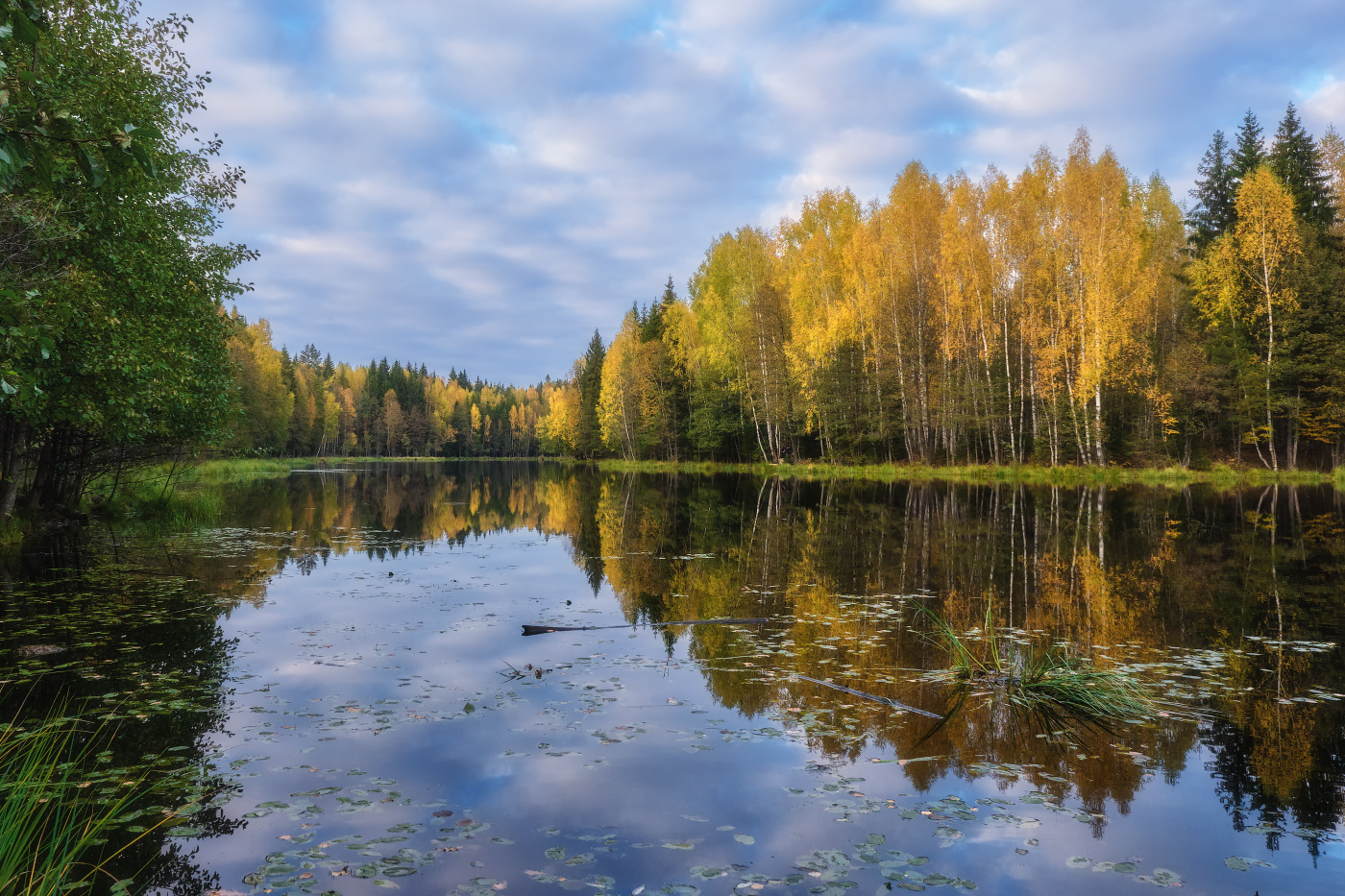 яркие краски осени