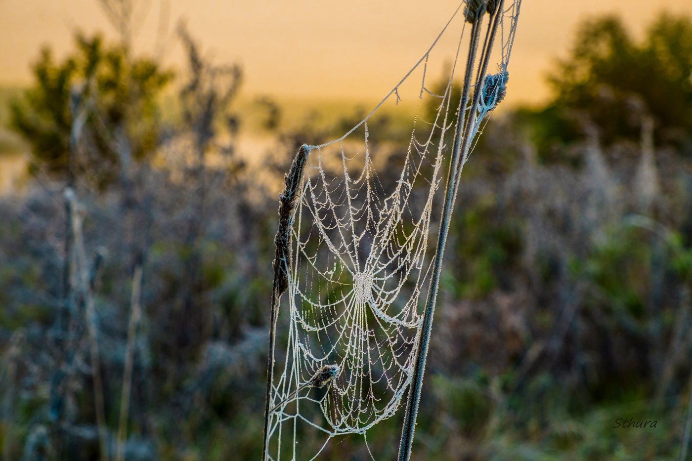 Осенние заморозки.
