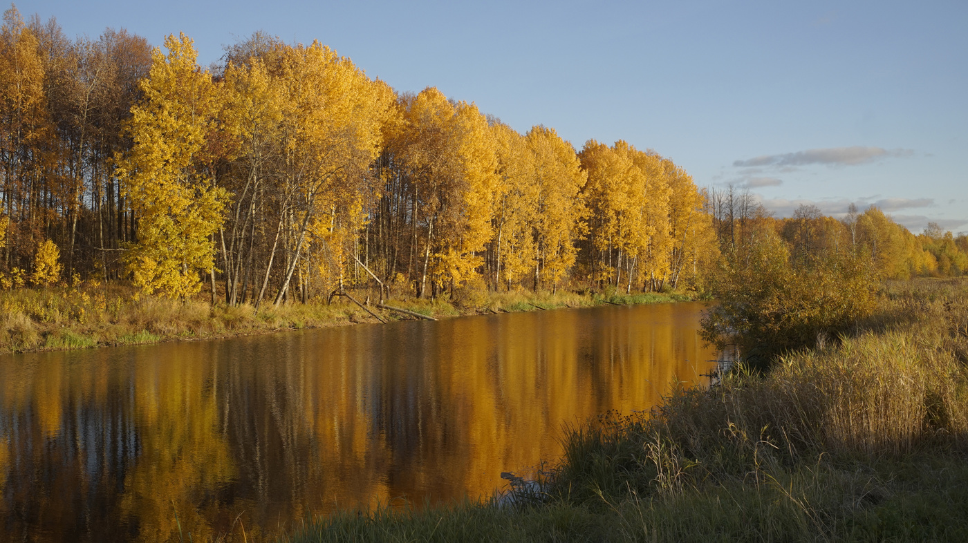 Не люблю золото,кроме золота осени...