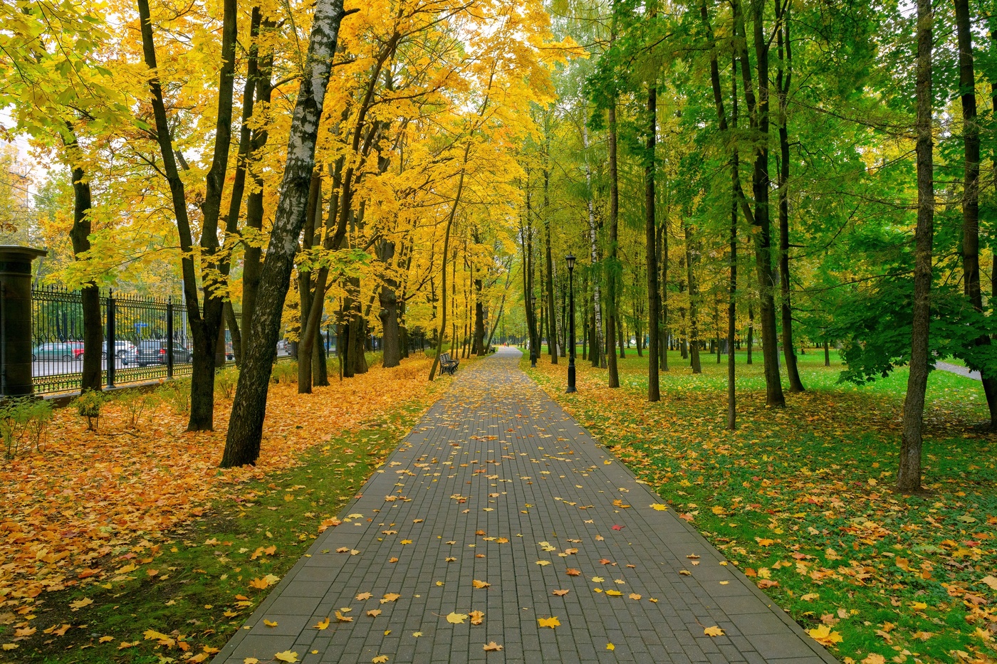 Осень в Ботаническом саду