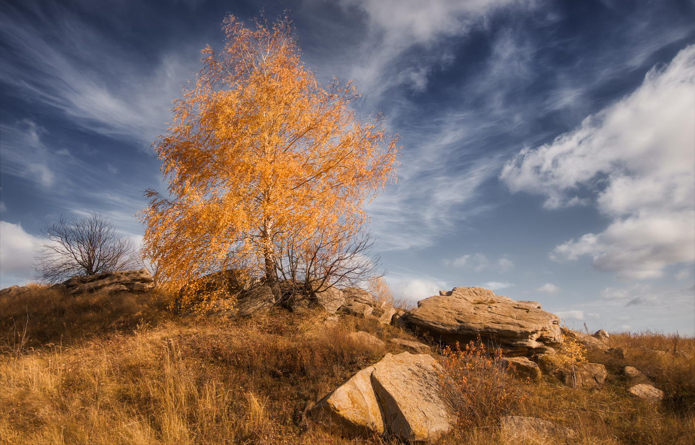 На крыльях осени.