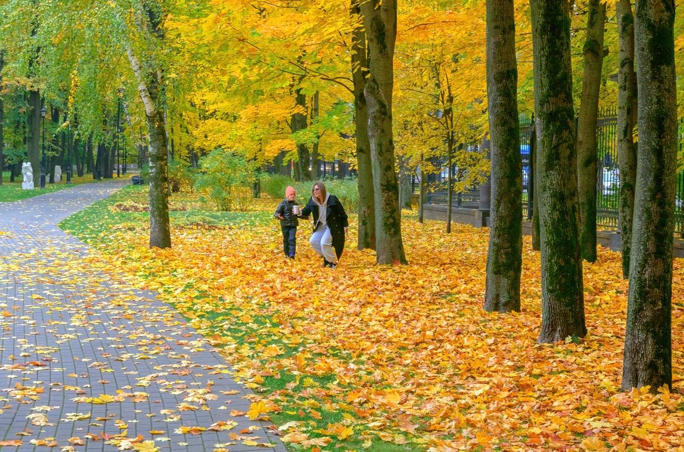 Осень в Ботаническом саду