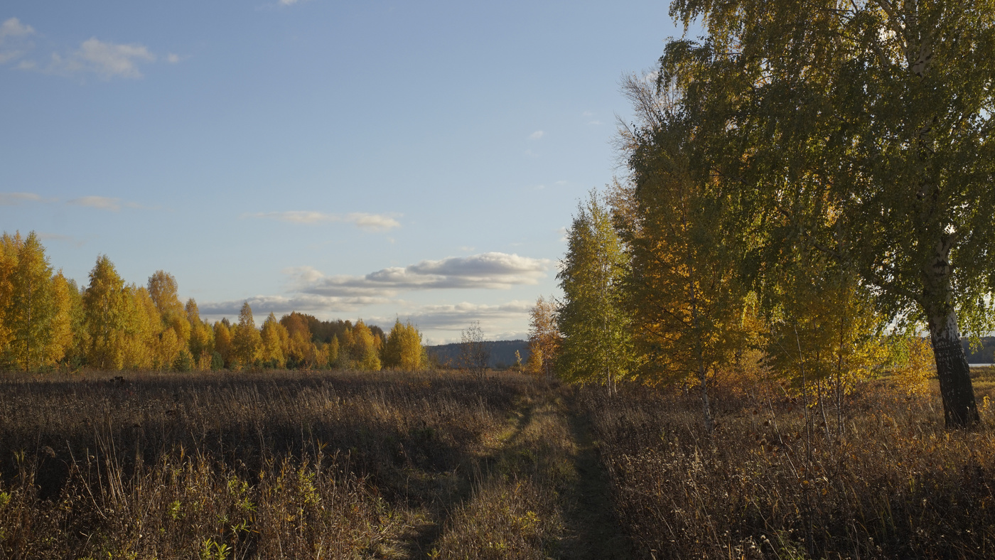 На просторах осени.
