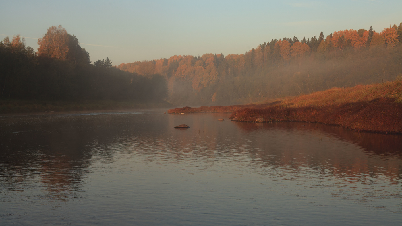 Жизнь вокруг