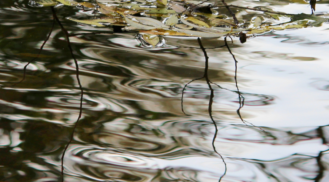 Водные фантазии.