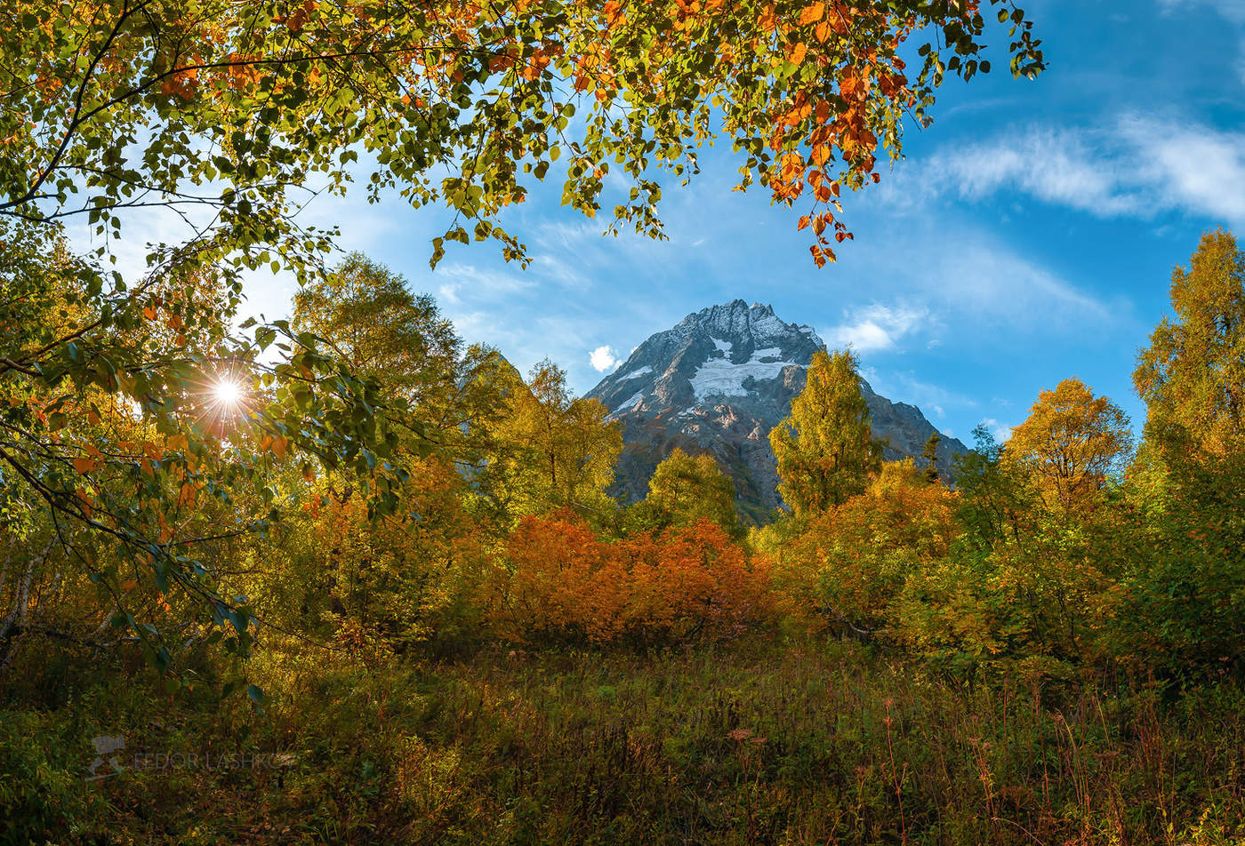 Разноцветье осени