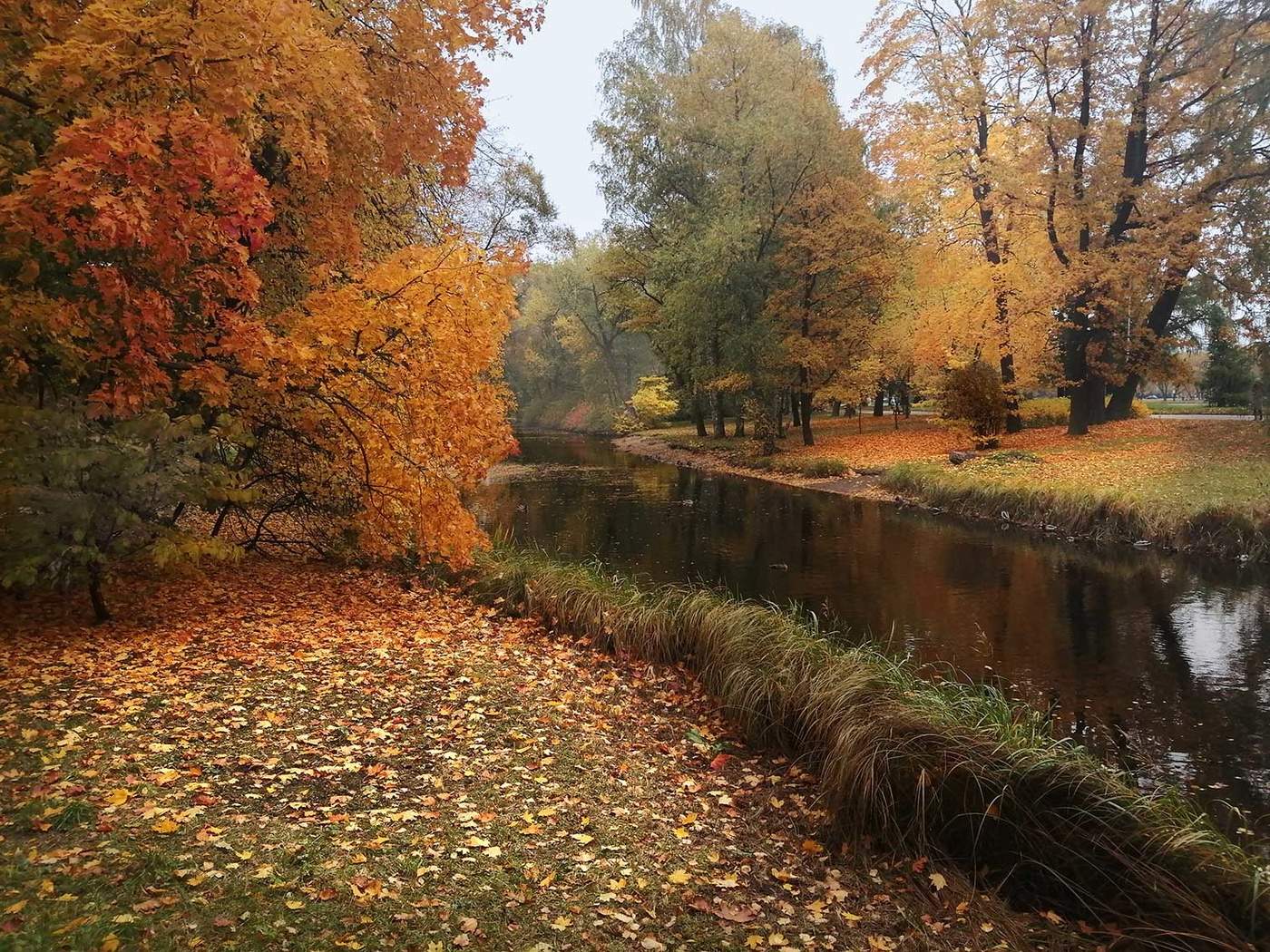 Осень на Елагином острове