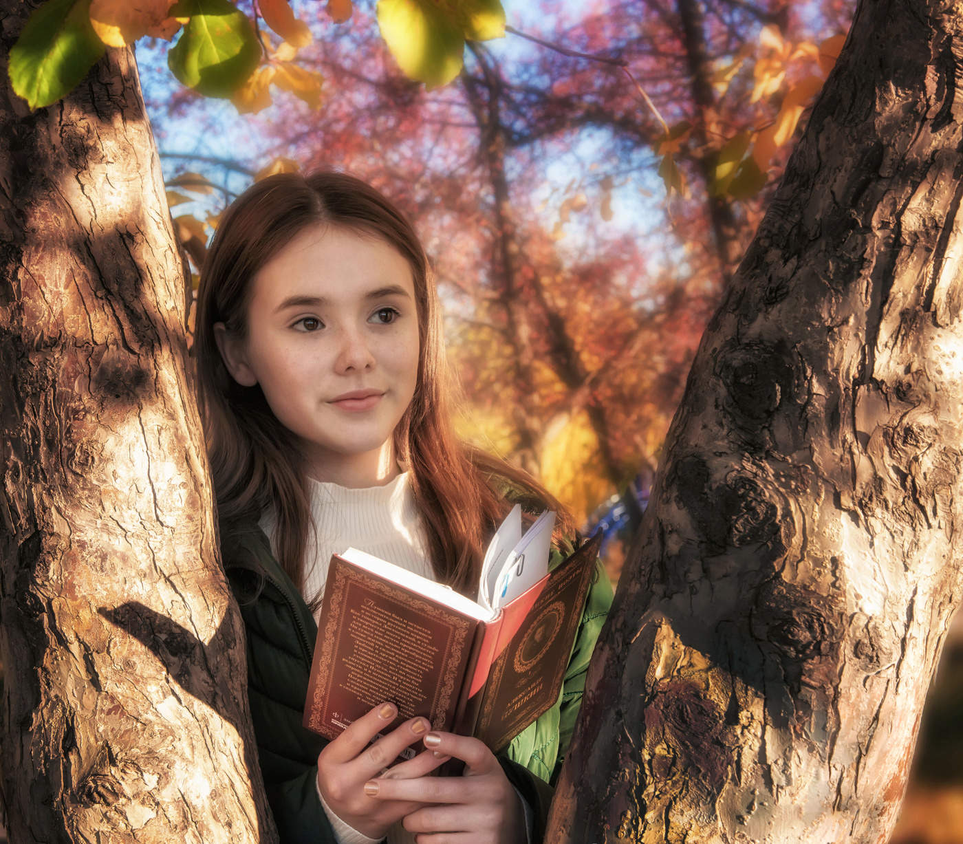 ...Ей рано нравились романы; Они ей заменяли всё...