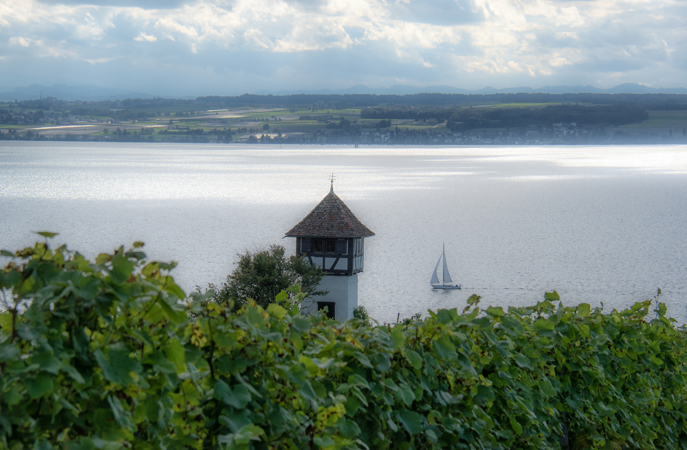 Wein am Bodensee 2
