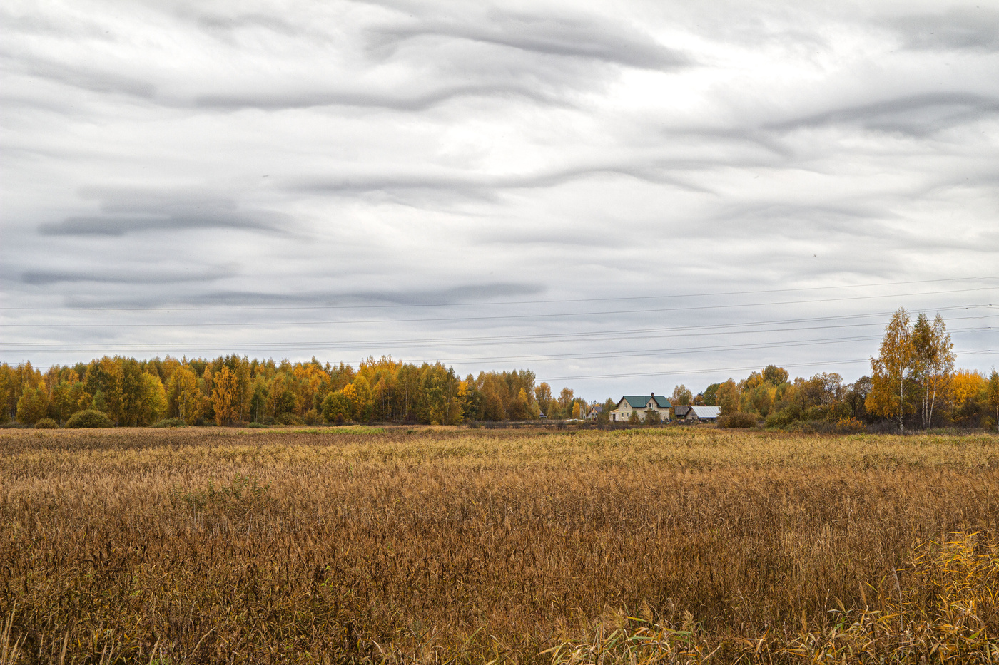 Тихая осень