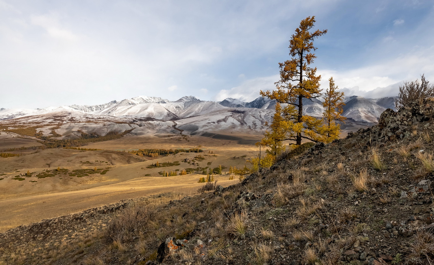 Наперекор ветрам