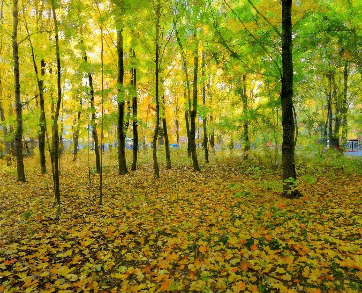 Осенний парк