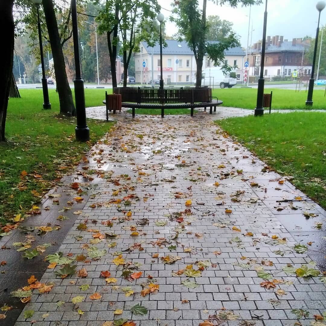 Осень,дождь..