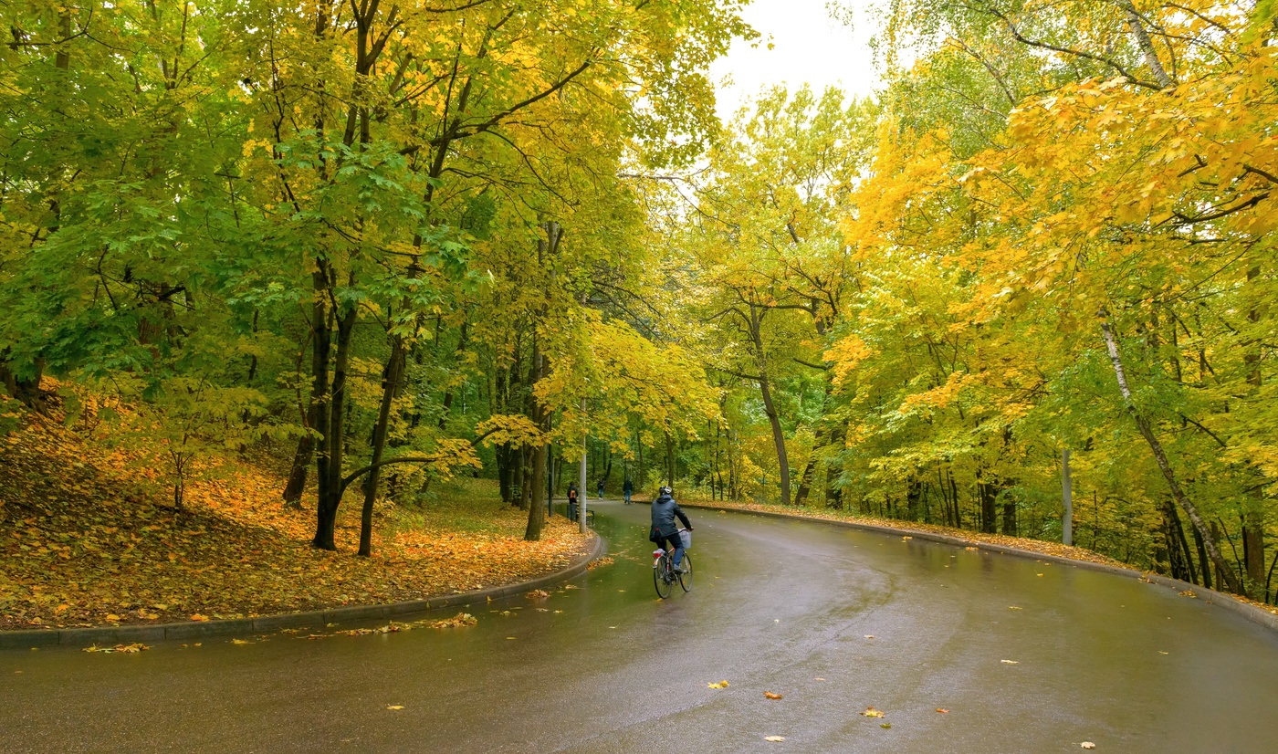 На Воробьёвых горах