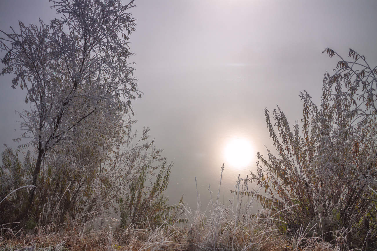 Утро туманное