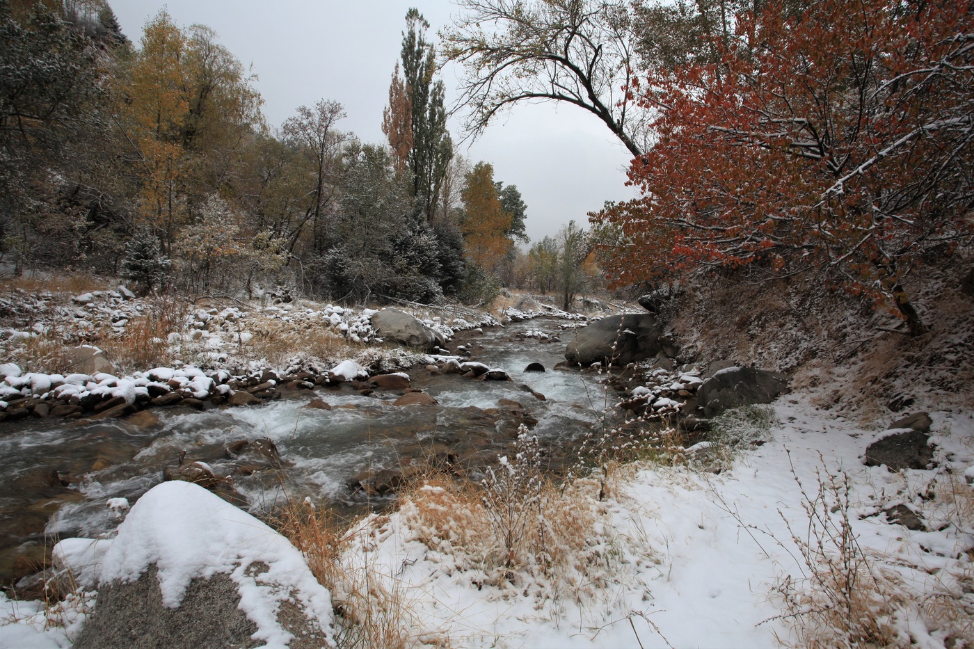После первого снега
