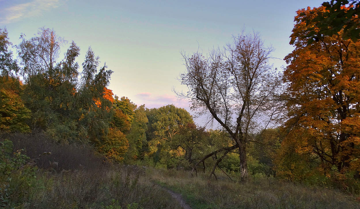 Тропинка в осенний лес