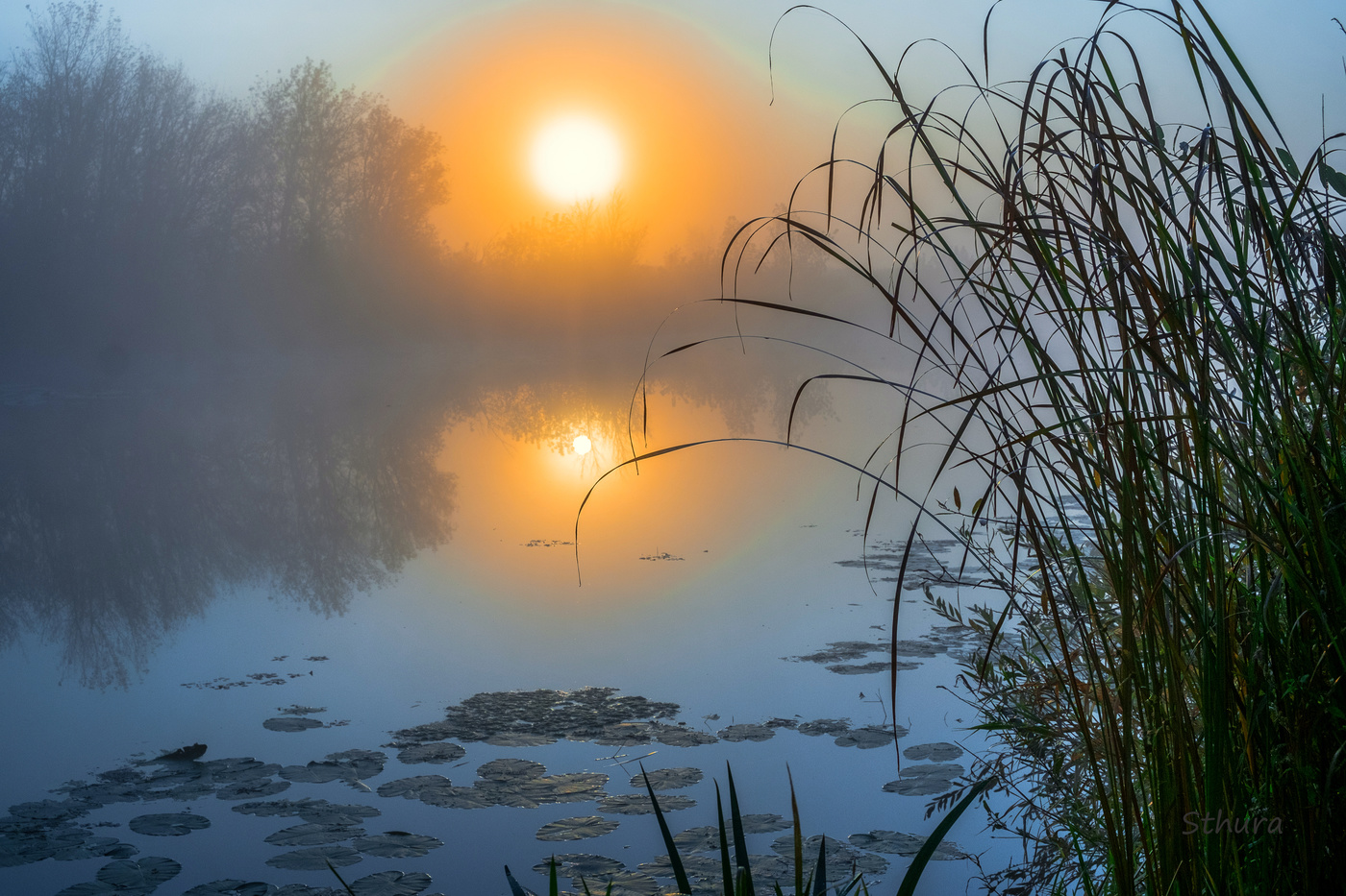 Туманное утро.