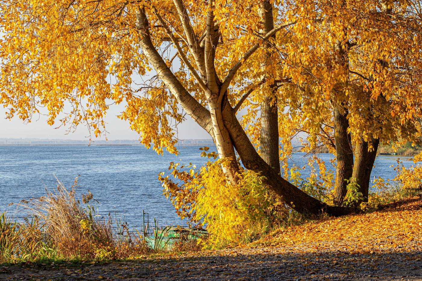 Пора золотая