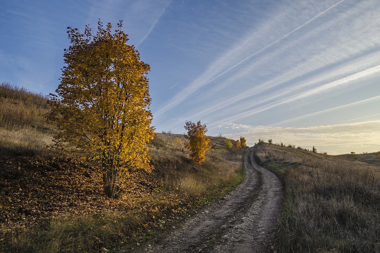На исходе осеннего дня
