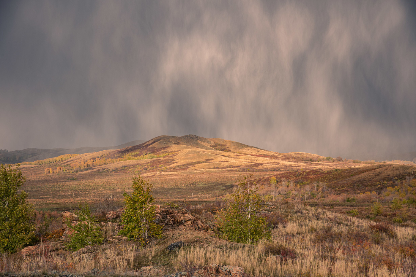 Падает, падает снег