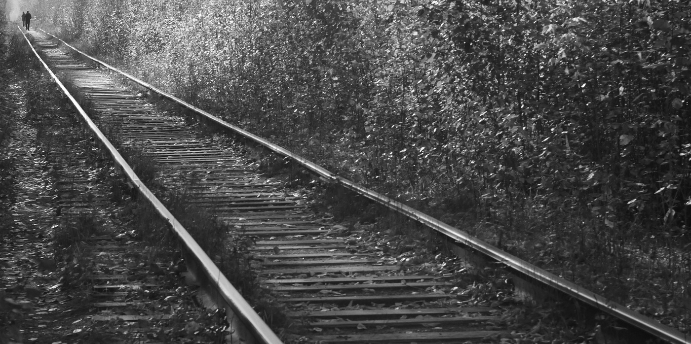 Про прямоугольник,треугольники и параллельные линии...