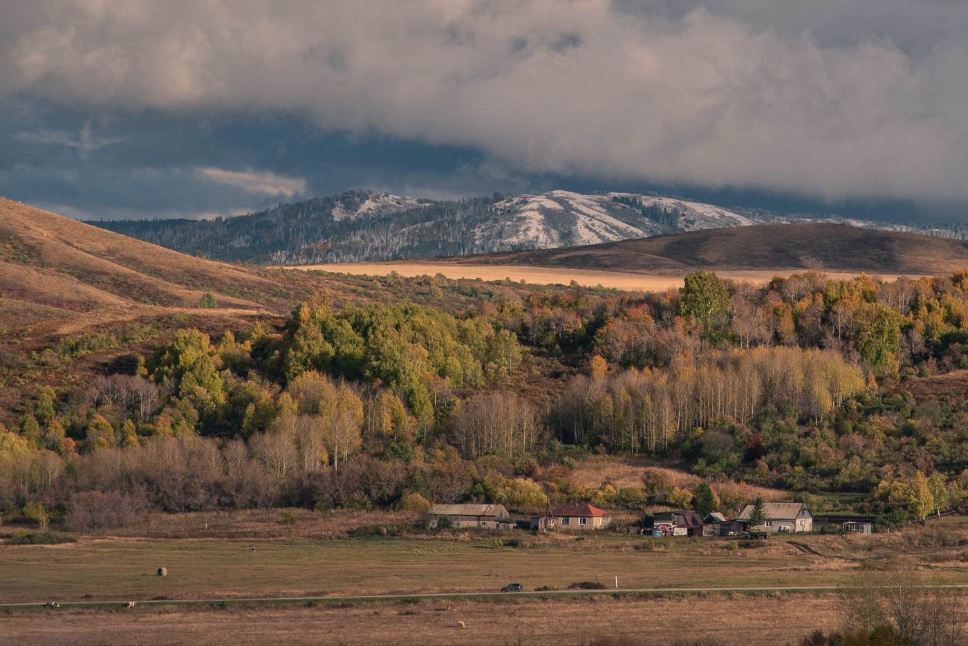 Такая разная осень