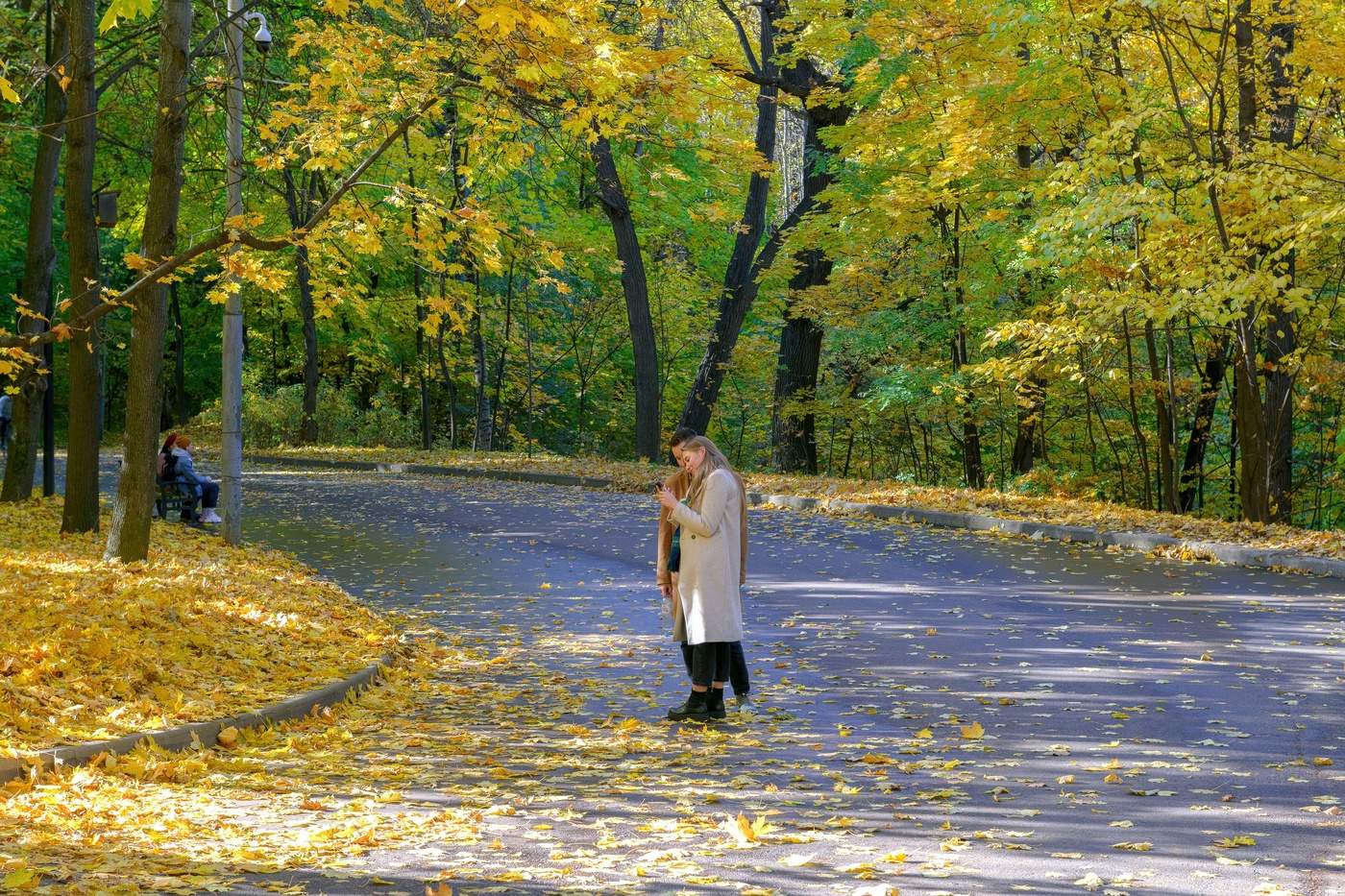 Осень в парке