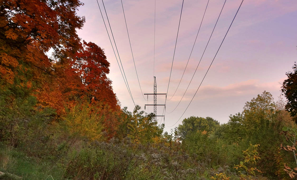 Осень под напряжением