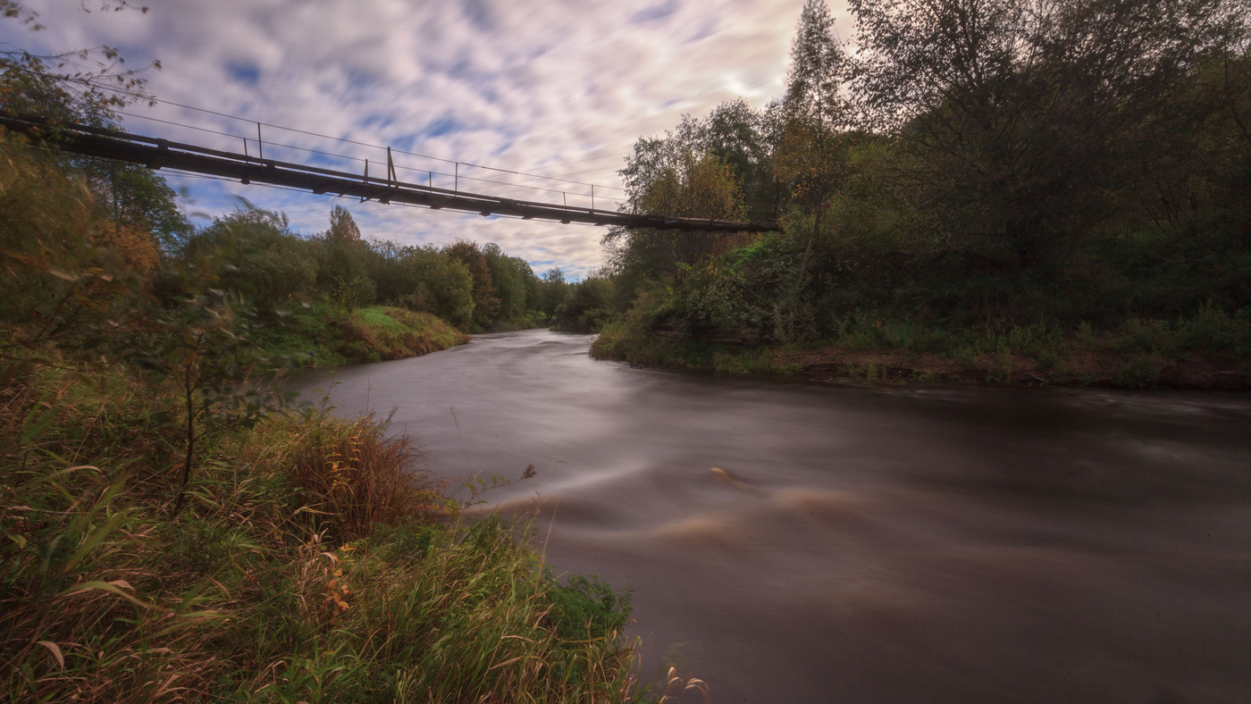 Жизнь вокруг