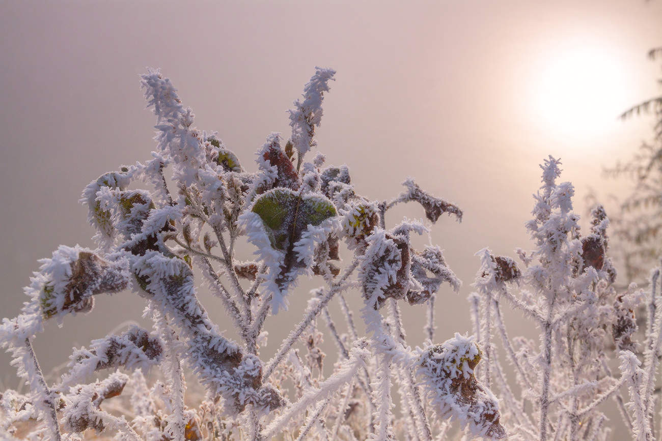 Про сентябрь