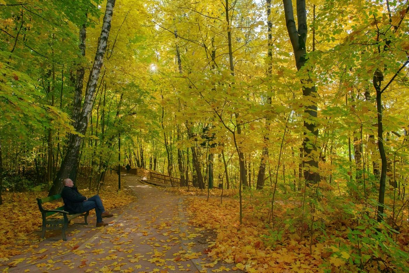 В осеннем парке