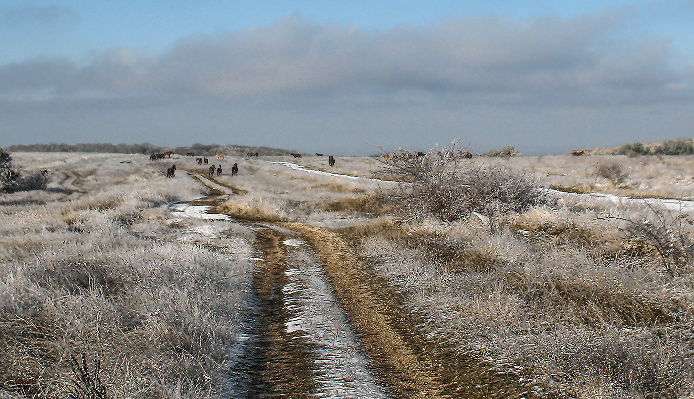 Уходящие в даль.