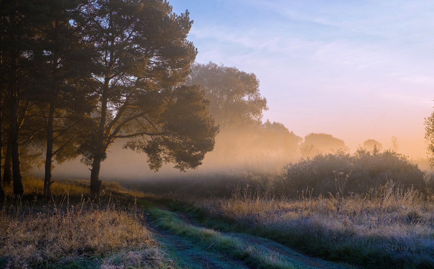 Дорога у края леса.