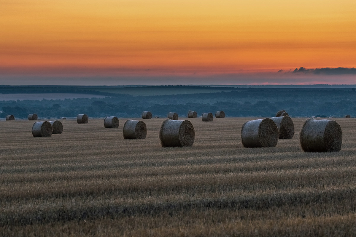 Рассветное